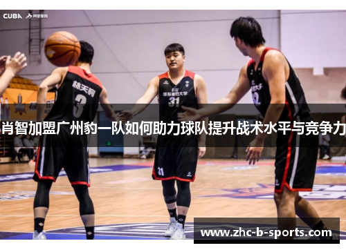 肖智加盟广州豹一队如何助力球队提升战术水平与竞争力
